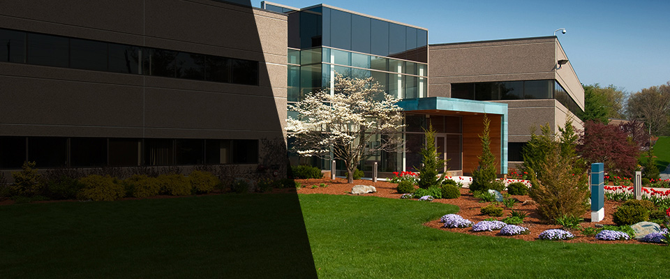 Bedford Landscapers